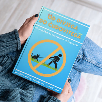 Rešitev za neubogljive pse: preprost 21-dnevni program, ki spremeni obnašanje vašega psa — brez kaznovanja in dragih tečajev
